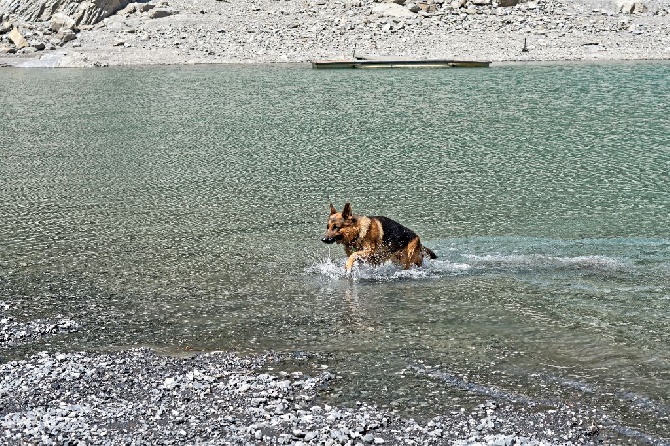 Des nouvelles de Garry du lac d'Annecy , 